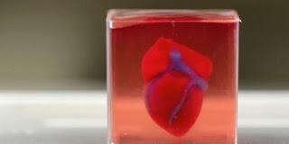 Cientistas Conseguem Produzir Coração Completo Em Impressora 3D