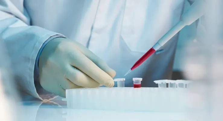 Por que armazenar células-tronco mesenquimais? Conheça os benefícios a longo prazo